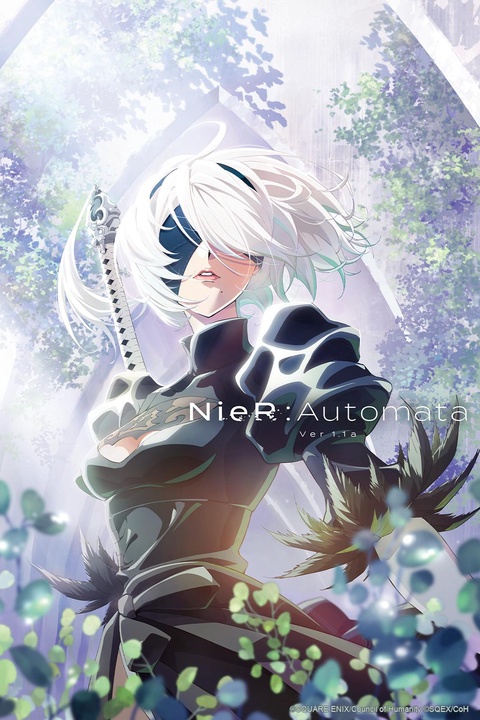 NieR: Automata Ver1.1a